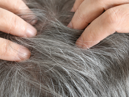 Das Dilemma der grauen Haare: Kann man sie verhindern?