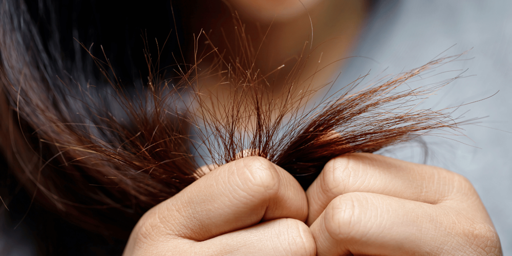 Spliss in den Haaren vermeiden? So funktioniert’s!